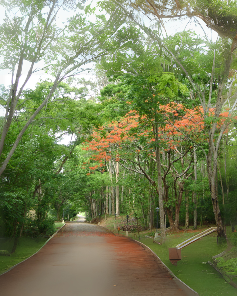 Caminho arborizado ladeado por árvores altas e verdes, com algumas flores alaranjadas ao fundo. A trilha de chão avermelhado está vazia, criando uma atmosfera de silêncio, paz e contemplação. A luz suave penetra pelas copas das árvores, sugerindo conexão com a Natureza e convite à introspecção espiritual.
