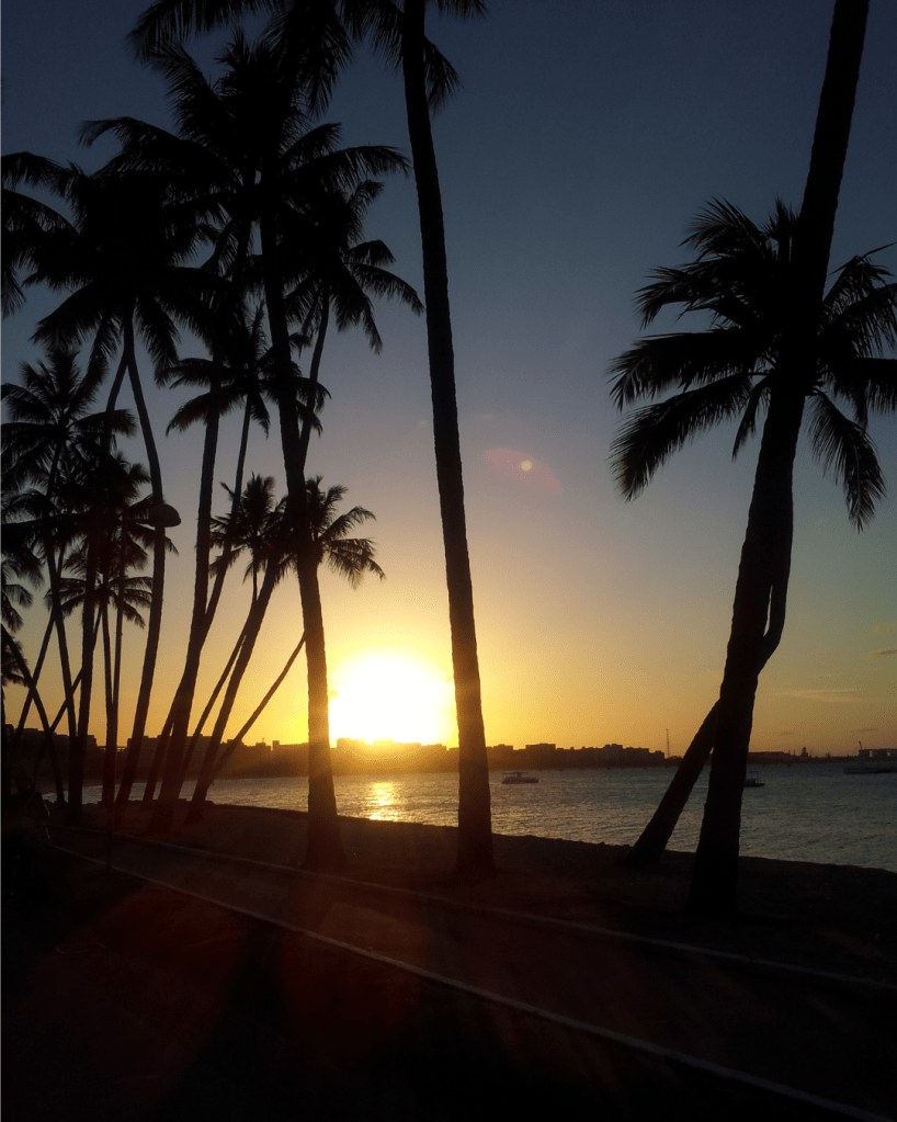 nascer do sol no horizonte do mar de maceió entre coqueiros.